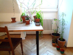 immendorf-in-zarich1