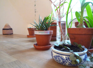 immendorf-in-zarich2