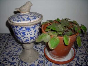 sigrunes-urne-und-veilchen