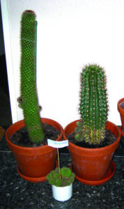 mariemarleenmiriamfb01-b