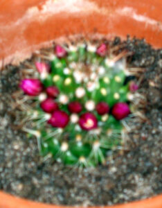 marleen_nachwuchs_fb05_w