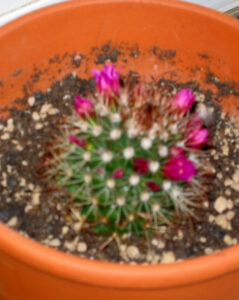 marleen_nachwuchs_fb06_w