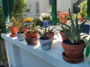 Milky-Way+Kinder_FB01-w650