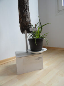 wilburbootamann_fb01-w