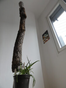 wilburbootsmann_fb02-w