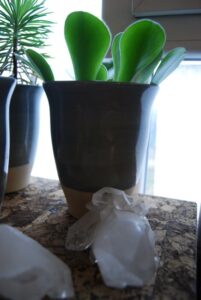 Aurora_Aura_0515-w650