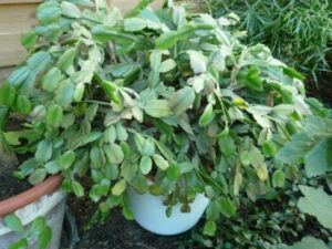 bertasuttner-fb01-web