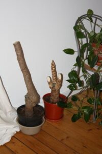 bonnita_und_big_bolong_2