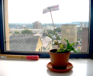 edwardtomlinson001-w