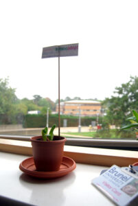 herbgeorgeatbrunel002