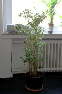 lenischlankmann-fb01-web