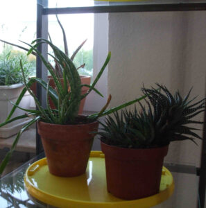 olgaviberrova_fb01-w