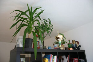 tinawurlitzer-fb01-web