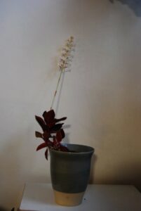 Erna-von-Wehn_0501-w650