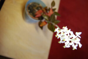 Erna-von-Wehn_0511-w650