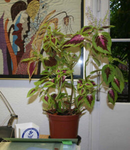 awaoneofthosedays-fb01