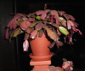 Pos:180,Tm:701_AT,Cst:-20,Gm:C,Fv:12,Stb:149