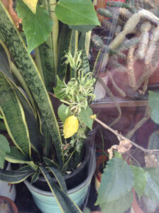 Passwort-Schatten_0119