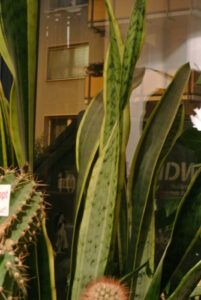 passwortschatten_fb01-w650