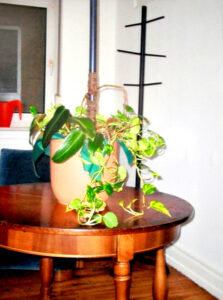 samundgerlinde_fb01_w