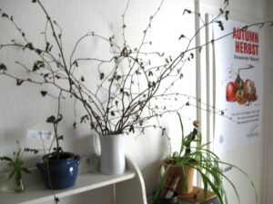 sixpence_aliaseliot_fb02_w