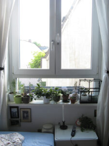 docwirkungsgrad_orpheusluckenbach_fb01_w