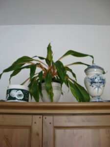 janeweissmuller_fb01_w