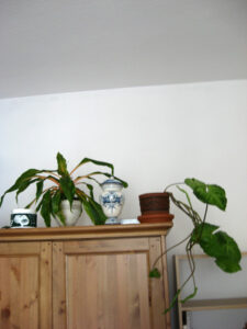 janeweissmuller_fb04_w