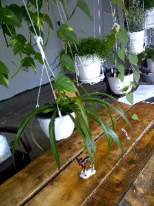 chepbrancalla_fb01-w