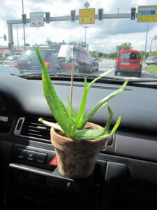 multiplaberenson_fb01-w