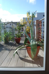 stairway_0064_fb01_0063-w