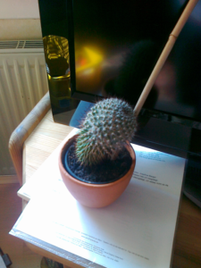 littlerichard_fb01_w