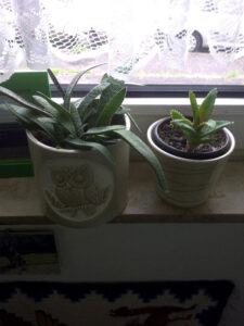 fantadidaannettediva_fb01-w