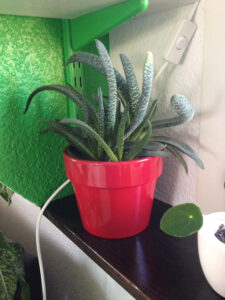 Albert-und-Herta-Hofmann