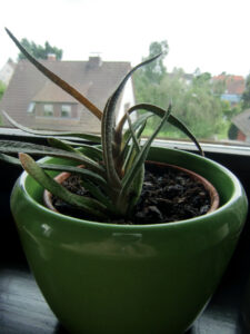 albert-und-herta-hoffmann-w700