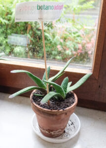 arndtole-friesenpoemp