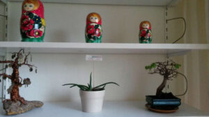 suko-von-dieselzweig_sukko