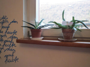 omma_schmidt_fb01-w650