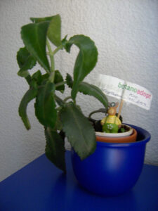 zwie-von-back_fb01-w650