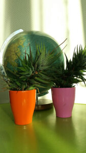 dizzymisslizzy_vorm-wintereinbruch_2015_10