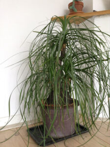 Elephant_Storys_fb01