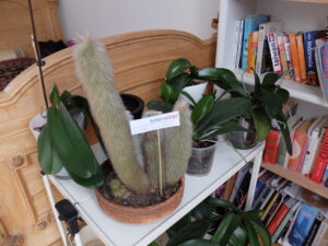 Frisoersalon-Hiltrud