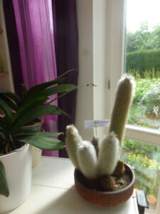 Frisörsalon-Hiltrud_FB01