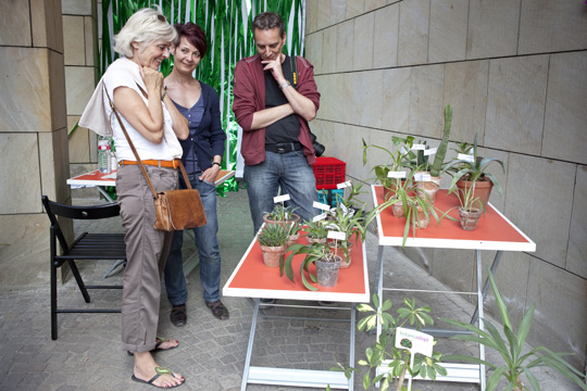 xqm-1_botanoadopt_06_ld