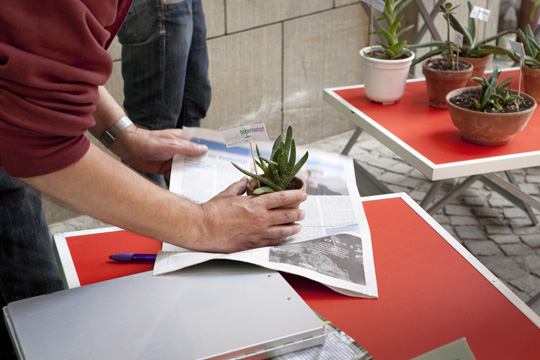 xqm-1_botanoadopt_15_ld