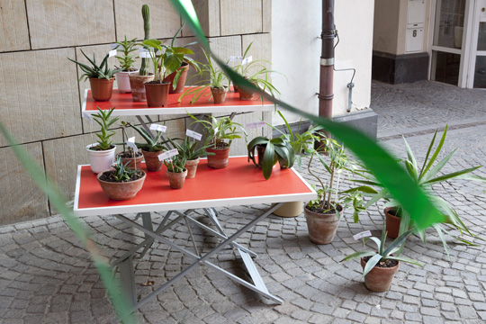 xqm-1_botanoadopt_16_ld