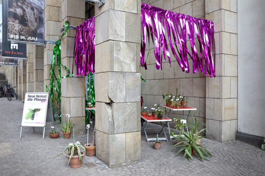 xqm-1_botanoadopt_18_ld