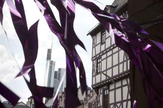 xqm-1_botanoadopt_20_hb