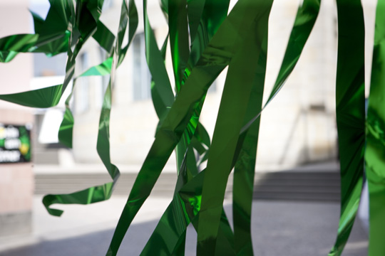 xqm-1_botanoadopt_22_hb