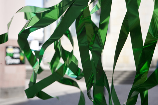 xqm-1_botanoadopt_23_hb